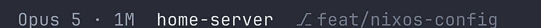 A status line with 'Opus 5 · 1M', a directory name, and a git branch, all in quiet gray.